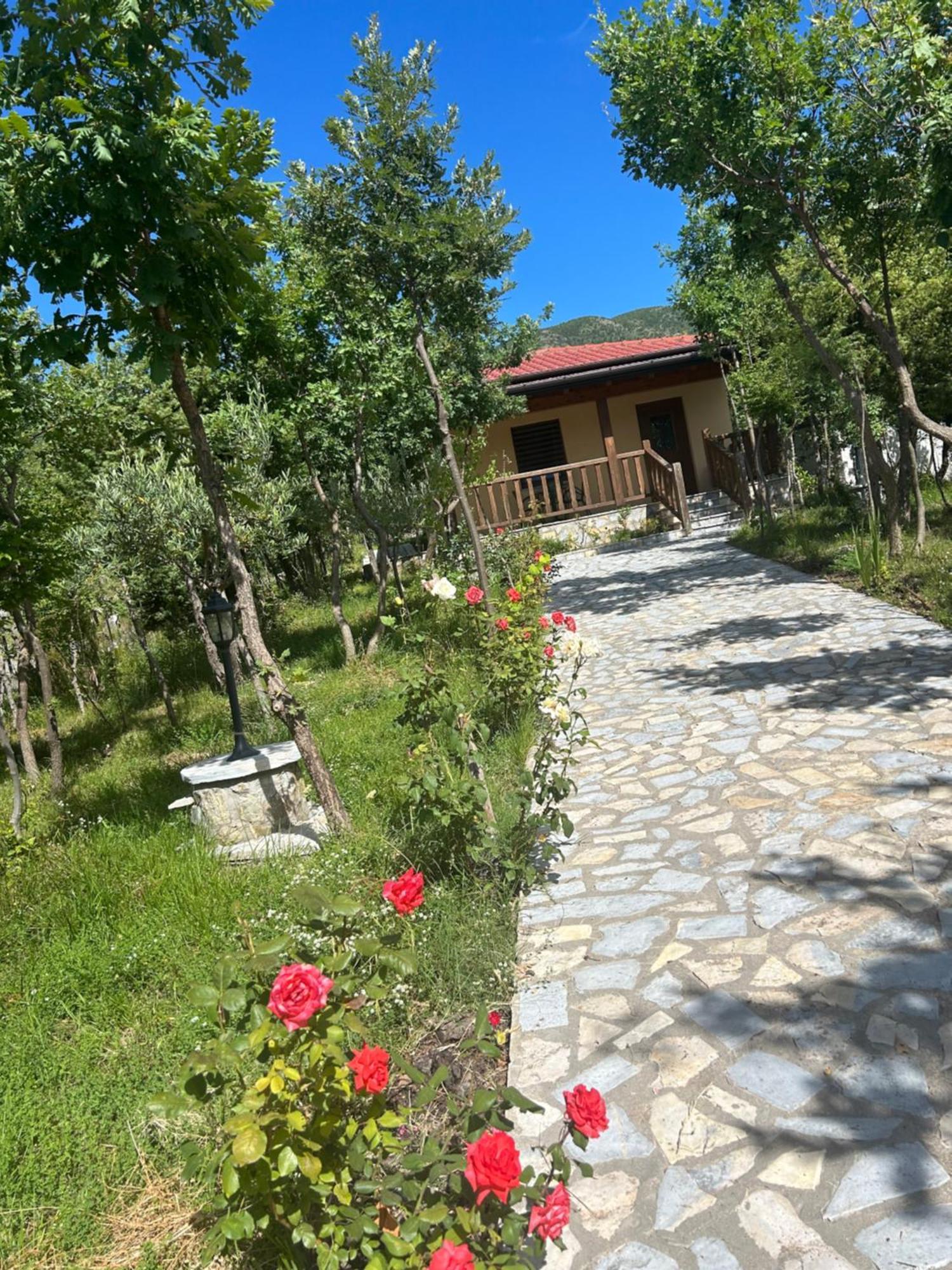 Hani I Leks Agroturizem Lezhë 外观 照片