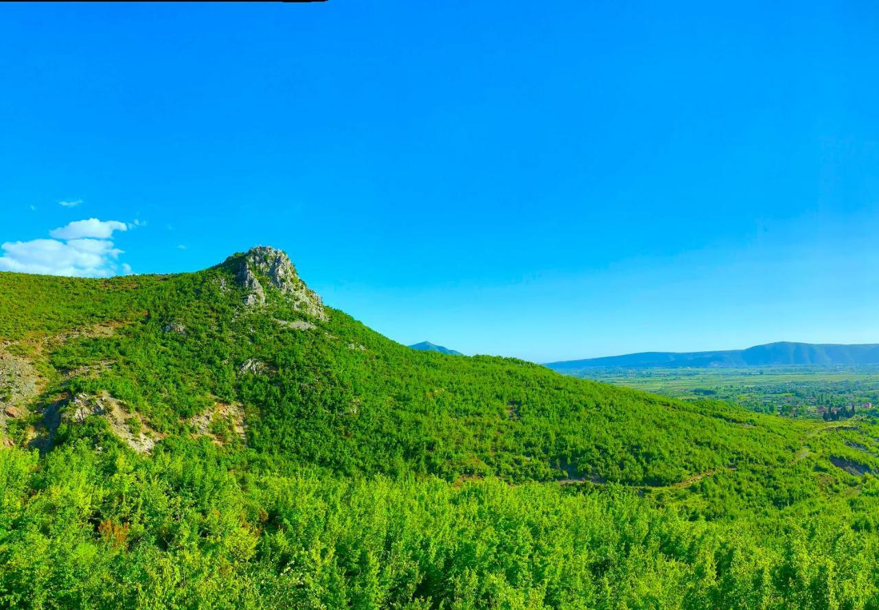 Hani I Leks Agroturizem Lezhë 外观 照片